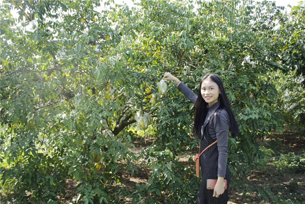 東莞魯班裝飾